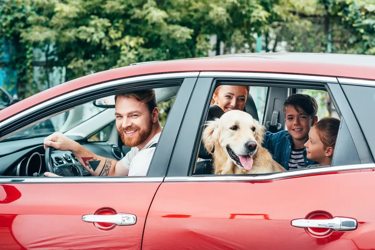 Reliable Car Care at Checkpoint Automotive Near Centennial, CO